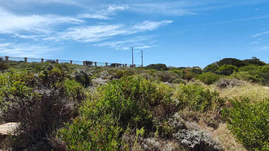 0 Bedroom Property for Sale in Blue Ridge Western Cape